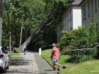 laurenz ulrich  Ela beeindruckte auch Steele